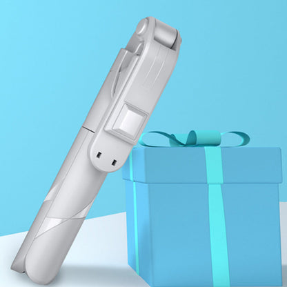 Video Self Portrait Soft Halo Light Stand With Dual LED Light