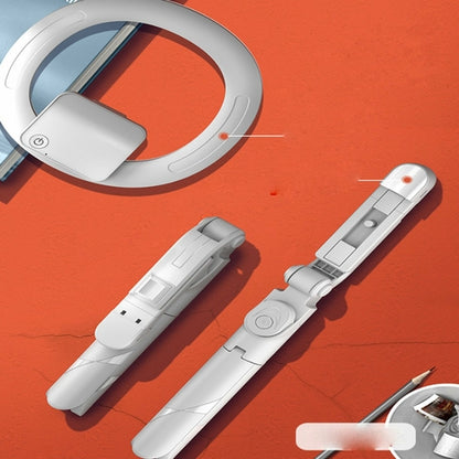 Video Self Portrait Soft Halo Light Stand With Dual LED Light